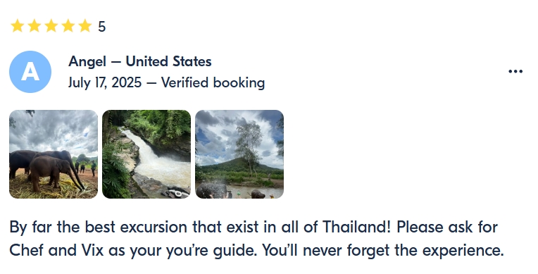 pon elephpant chiangmai thailand reviews